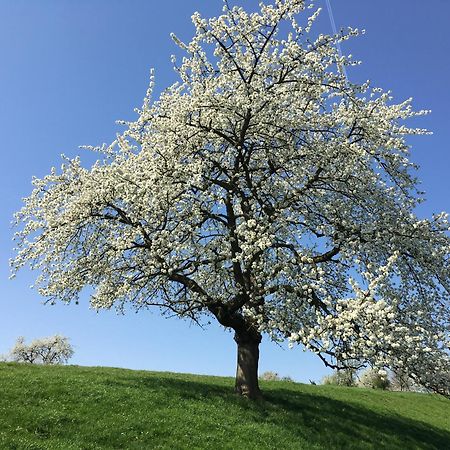 De Notelaar Kortessem Exteriör bild